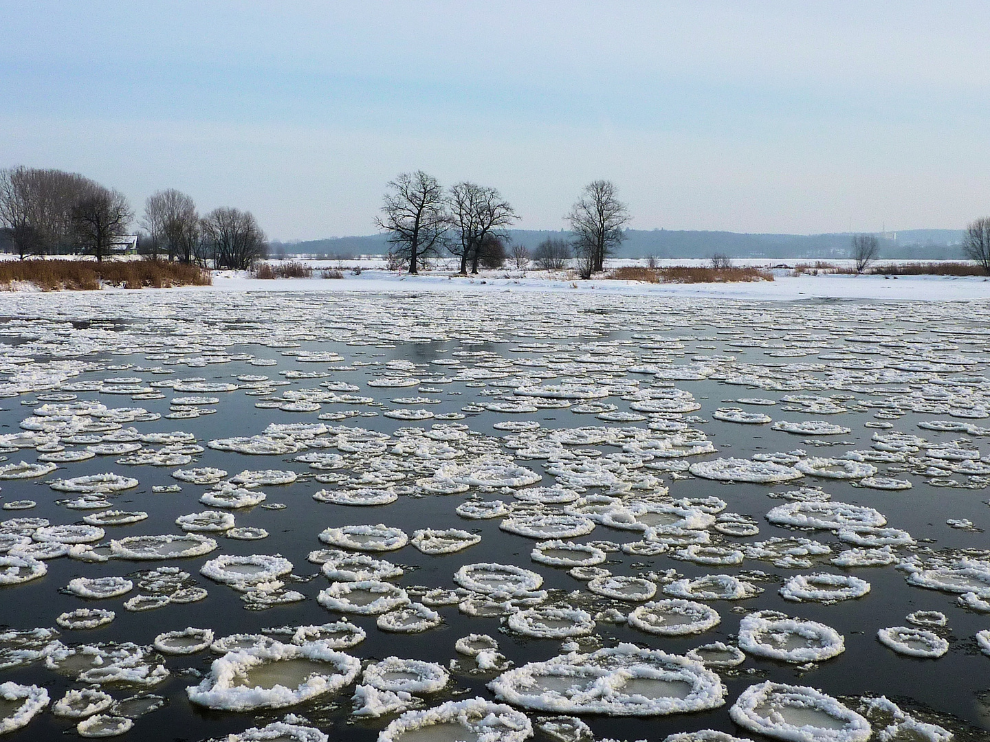 Oder-Blick