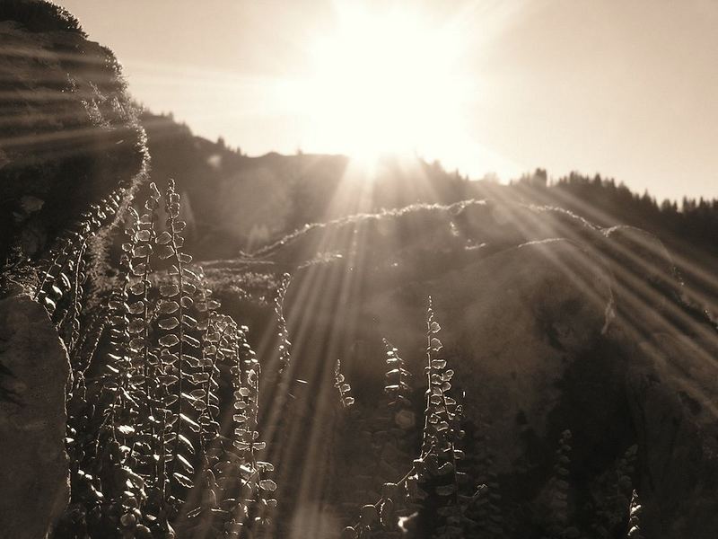 oder doch eher ne Landschaft?