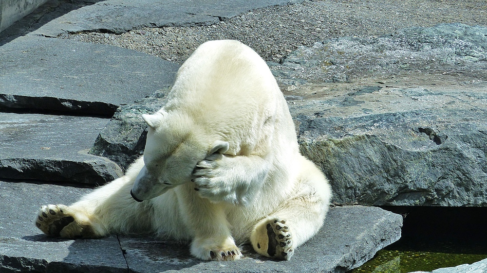 - oder doch nicht.... -