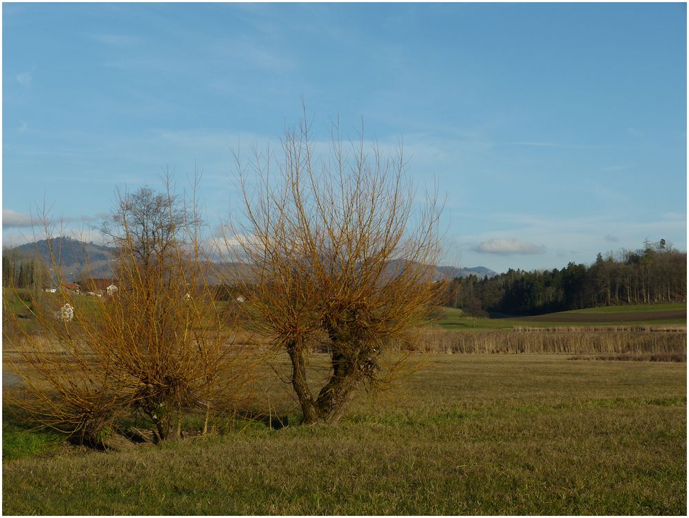 oder Frühling?