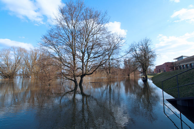 Oder Hochwasser.