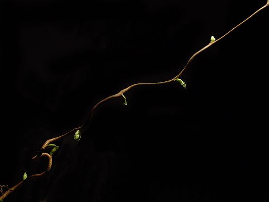 [ / ] oder nach oben offen...