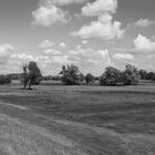 Oder-Neiße-Radweg.04 < Blick vom Oder-Deich >