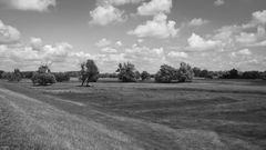 Oder-Neiße-Radweg.04 < Blick vom Oder-Deich >