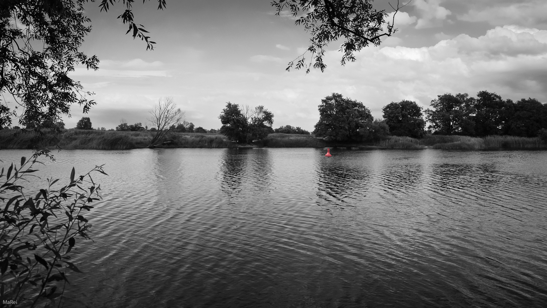 Oder-Neiße-Radweg.06 < im Fahrwasser >