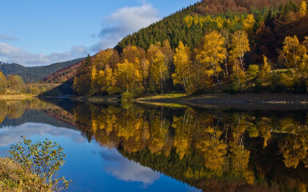 OderStausee im Harz Foto & Bild landschaft, bach, fluss & see, see