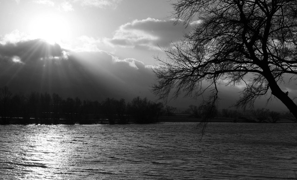 Oderbruch im Januar 2014