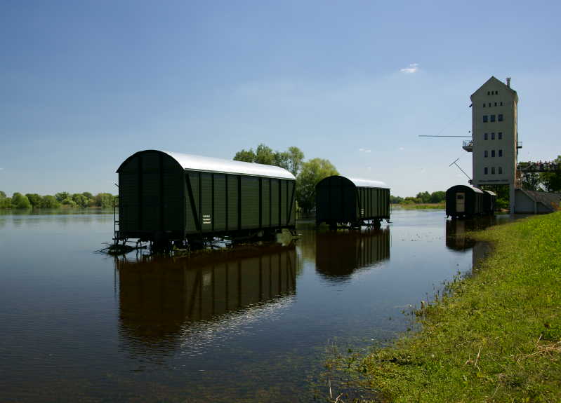 Oderflut im Juni - 2010  Wasserstand 0,5m unter Maximalpegel