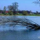 Oderhochwasser 2