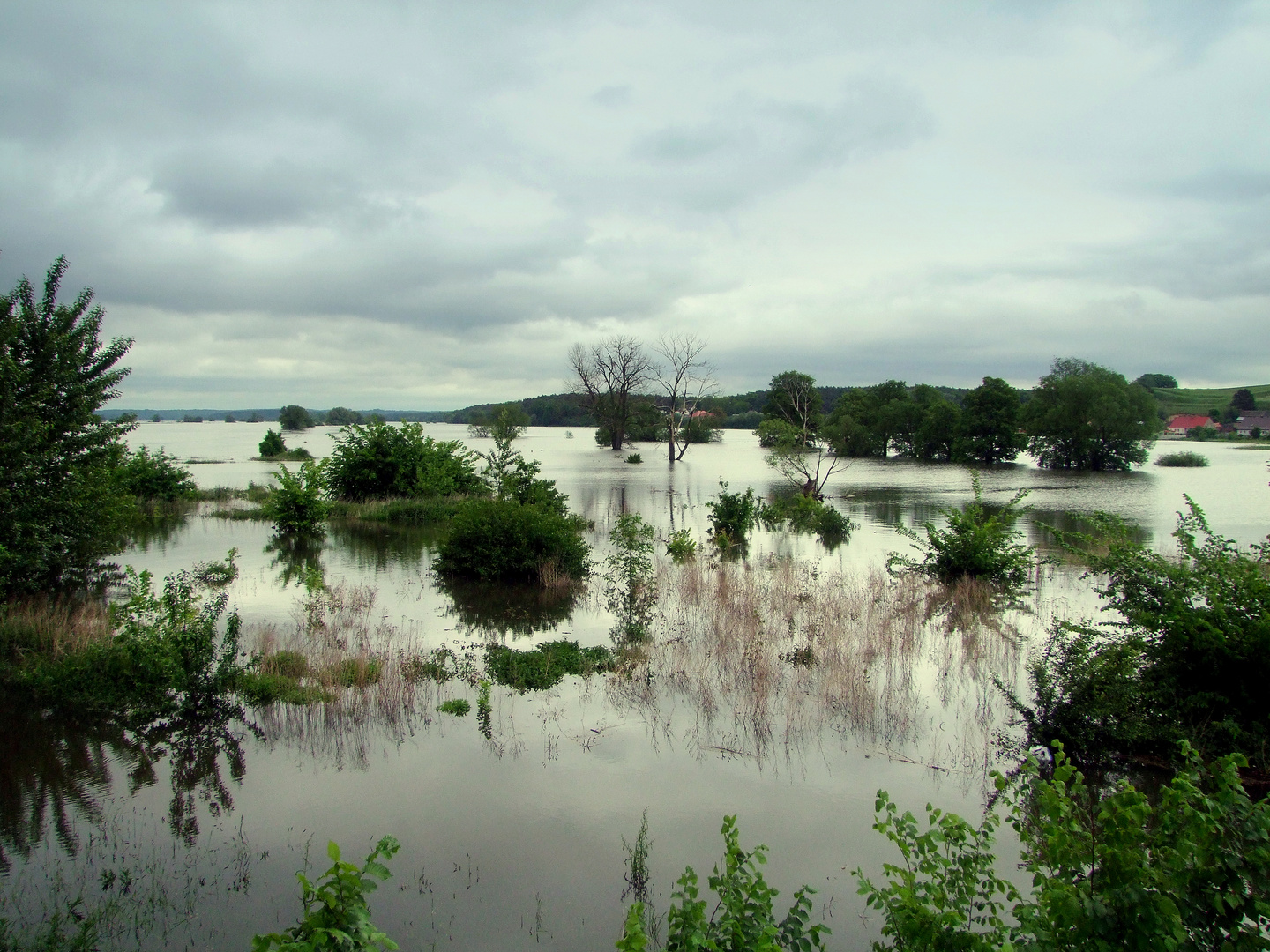 Oderhochwasser