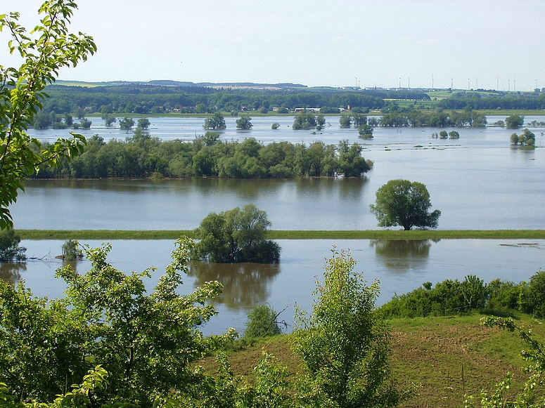 Oderhochwasser