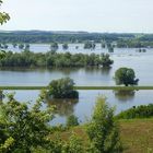 Oderhochwasser