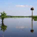 Oderhochwasser