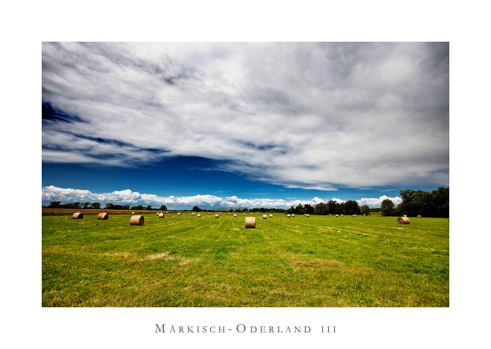 Oderland-Impressionen III