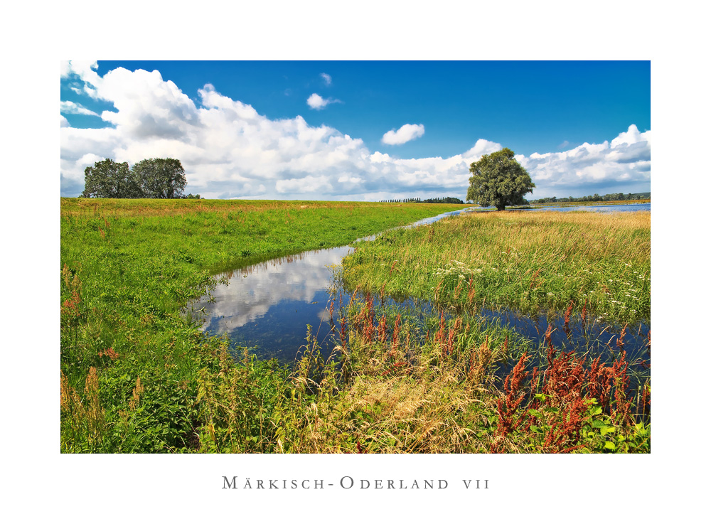 Oderland-Impressionen VII