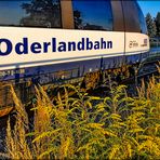 Oderlandbahn