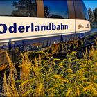 Oderlandbahn