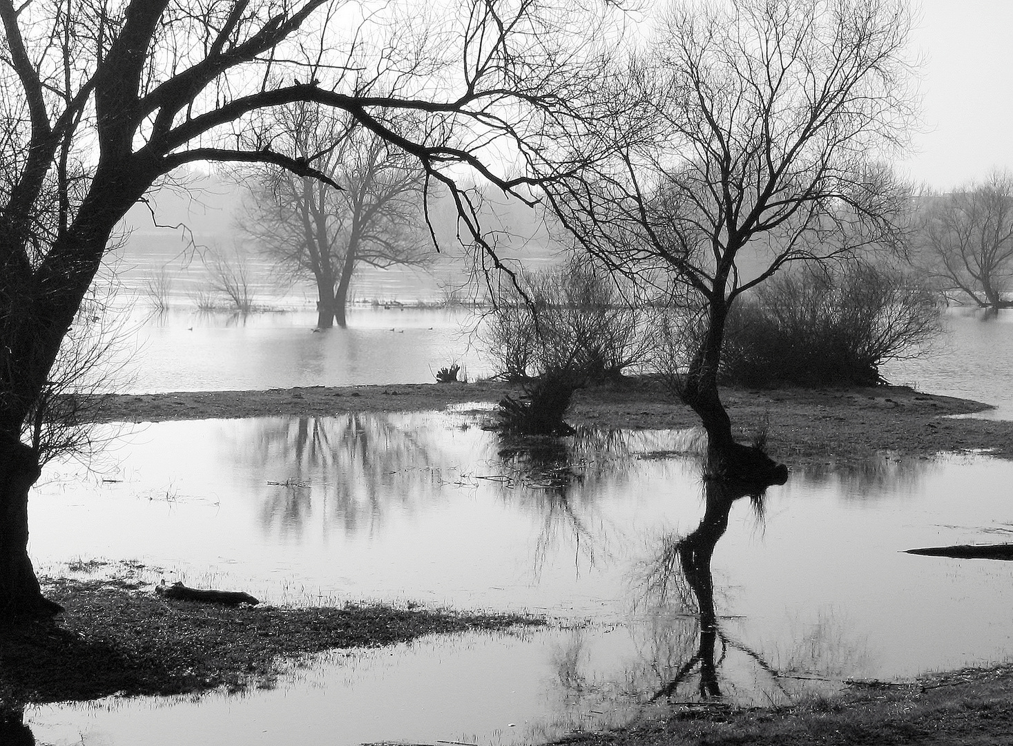 Oderlandschaft