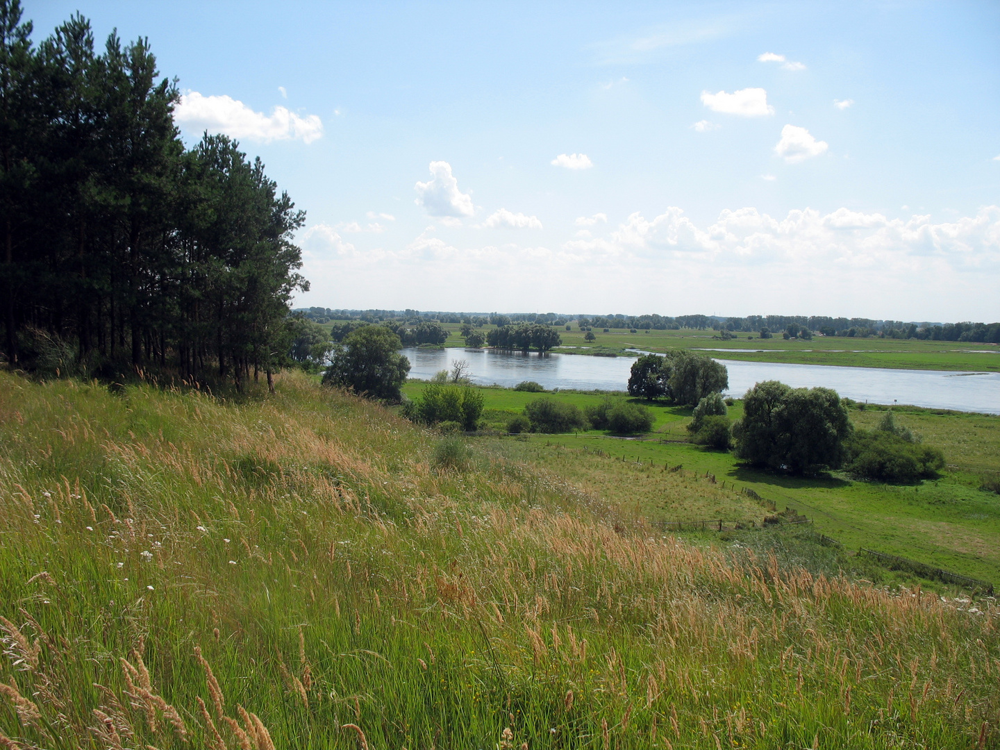 Oderlandschaft