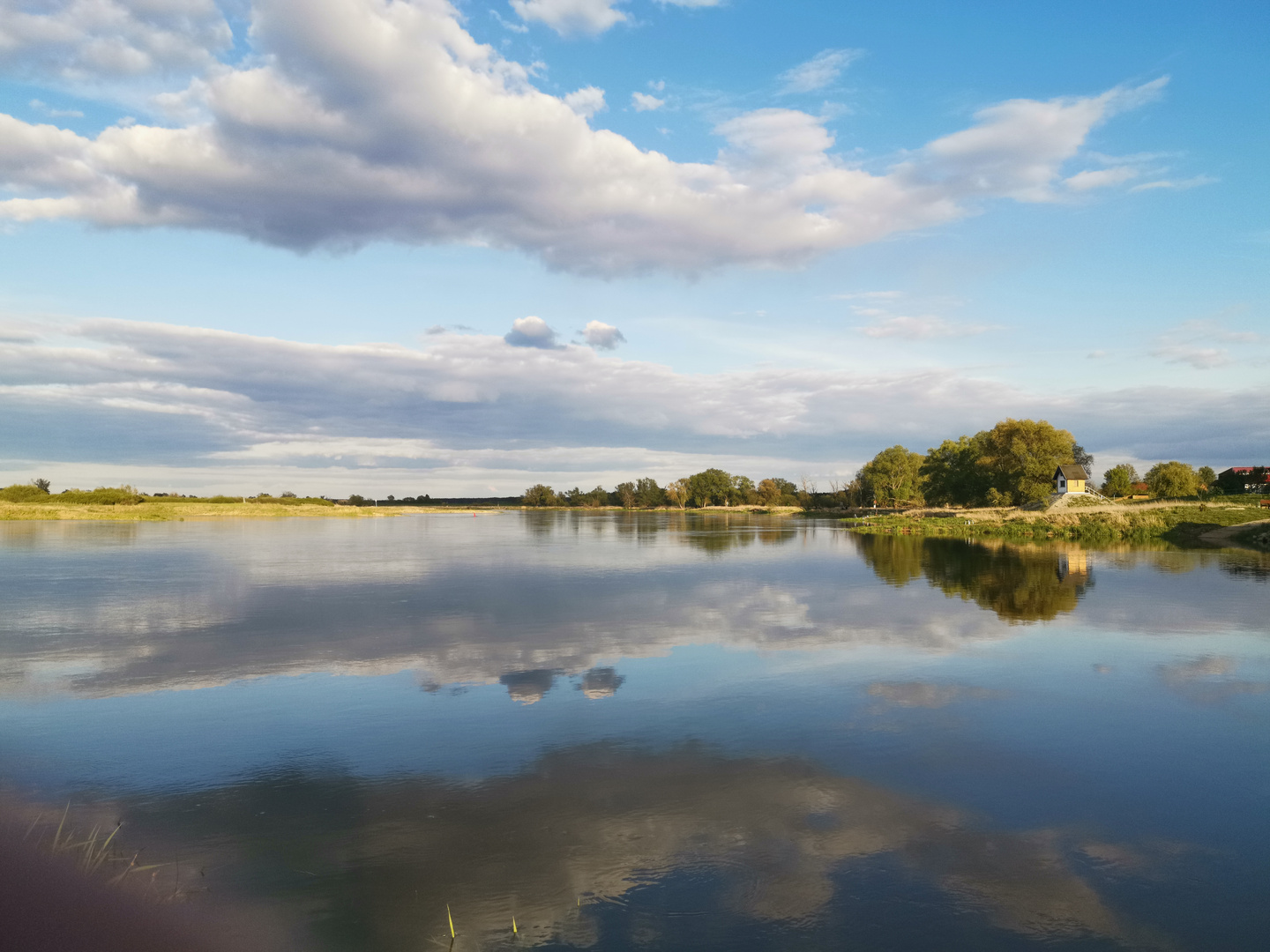 Oderlandschaft