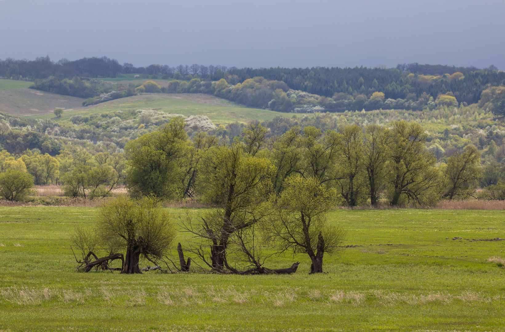 Oderlandschaft ...