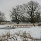 Oderlandschaft im Winter