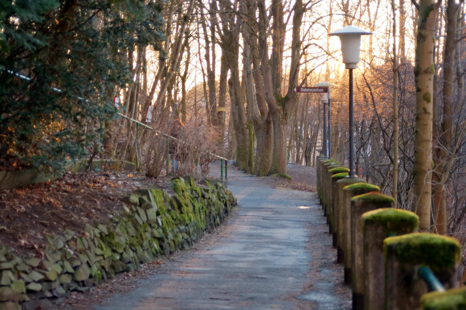 Oderpromenade (Bad Lauterberg im Harz)