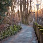 Oderpromenade (Bad Lauterberg im Harz)