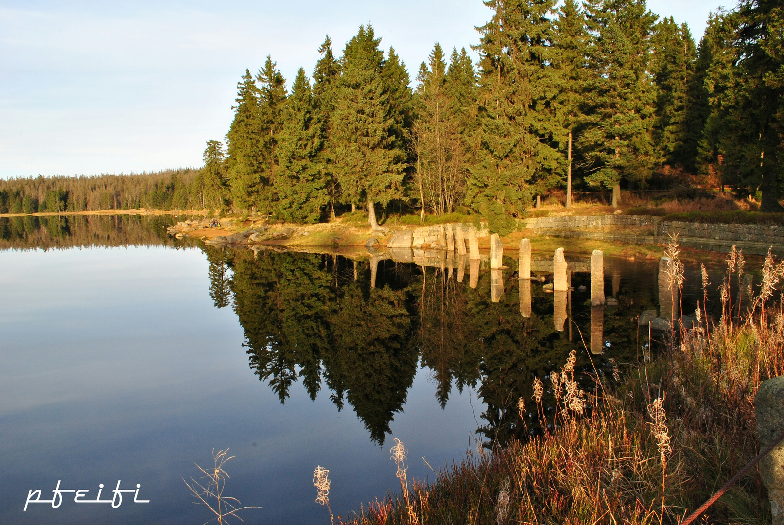 Oderteich / Harz