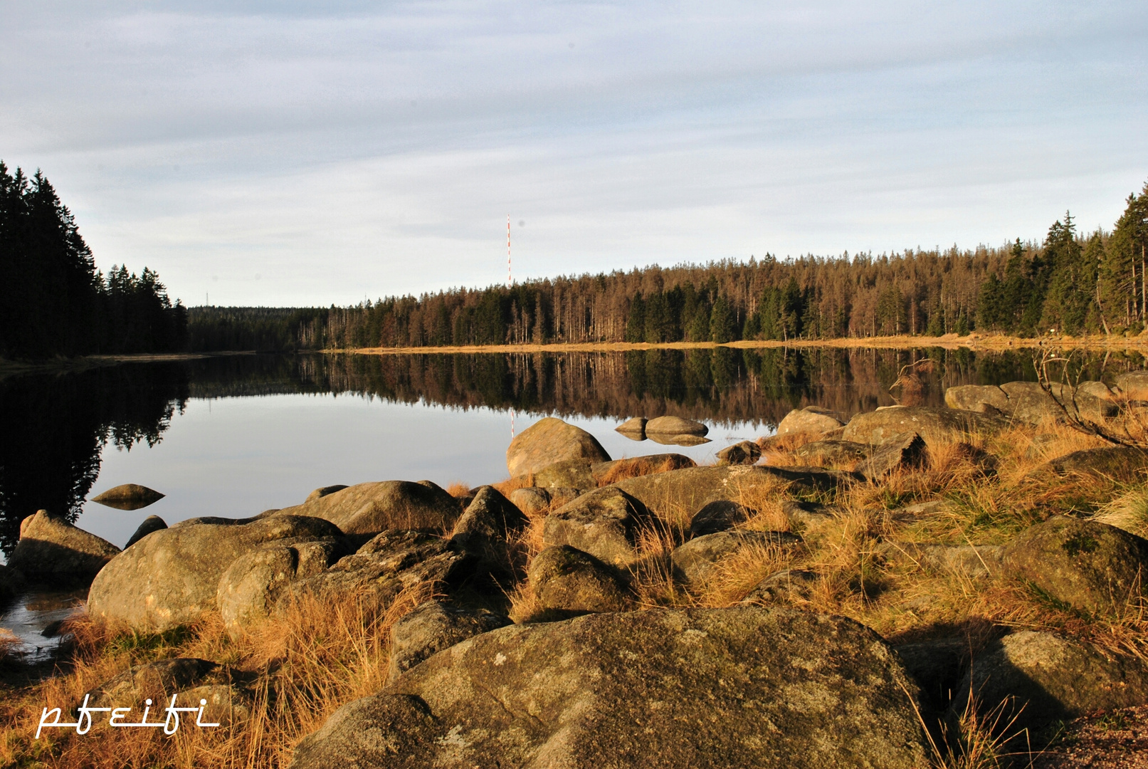 Oderteich / Harz