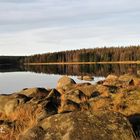 Oderteich / Harz