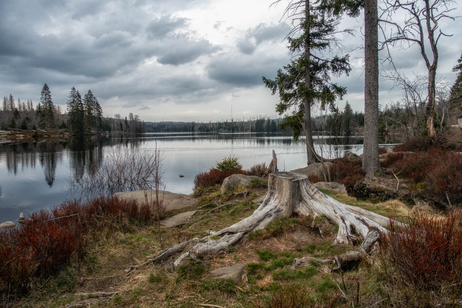 Oderteich, Harz