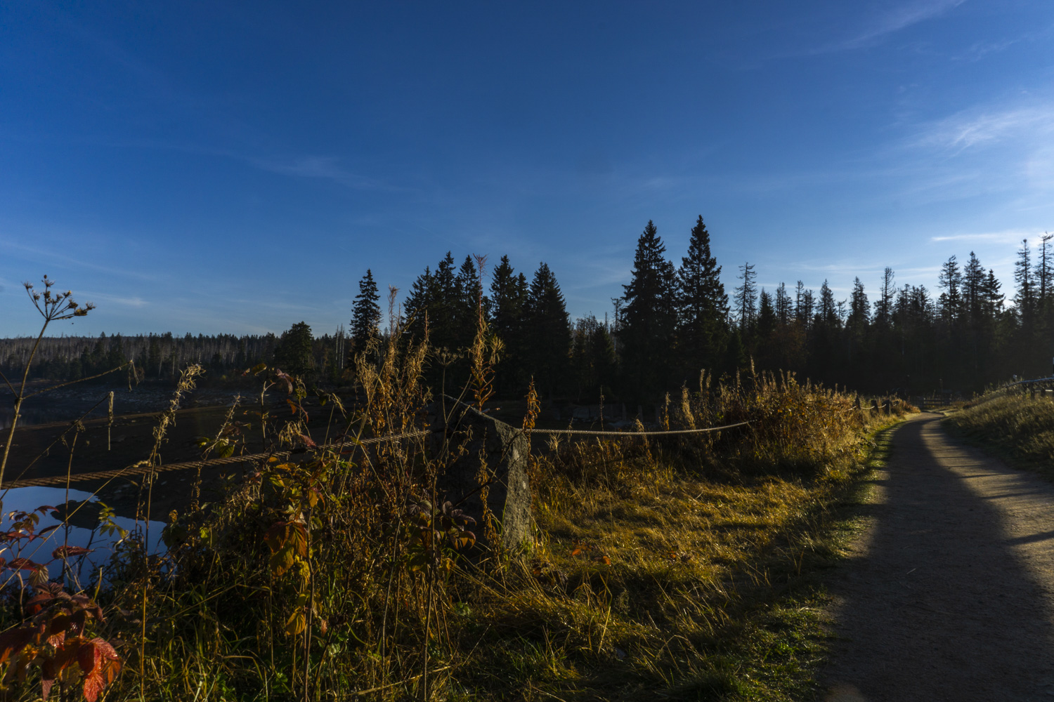 Oderteich im Harz