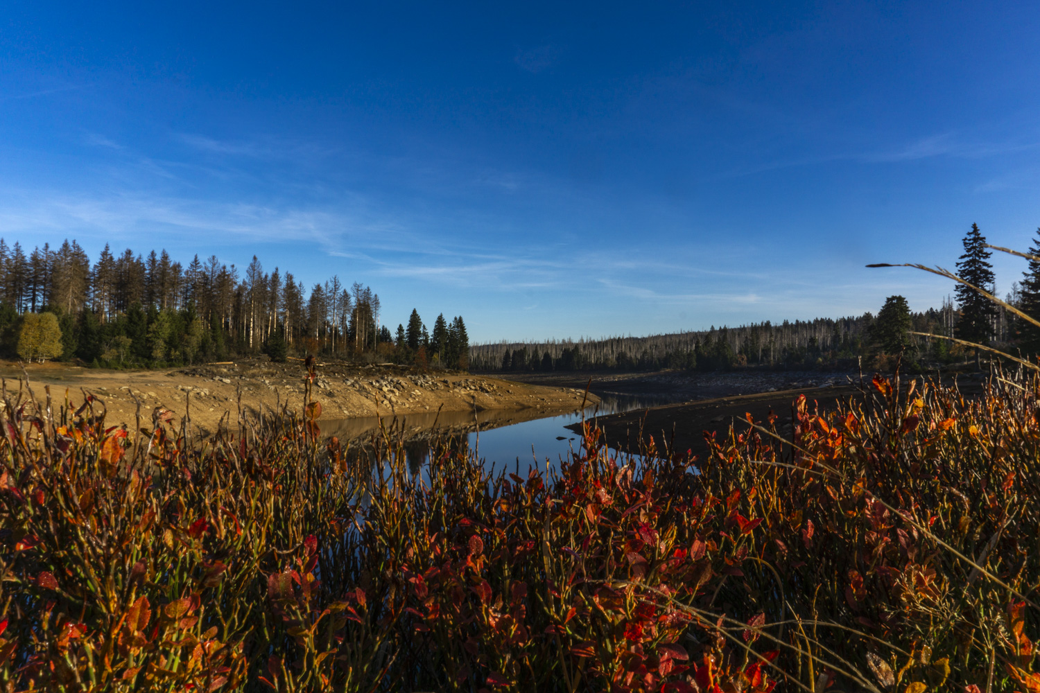 Oderteich im Harz