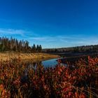 Oderteich im Harz