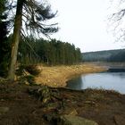 Oderteich im Harz