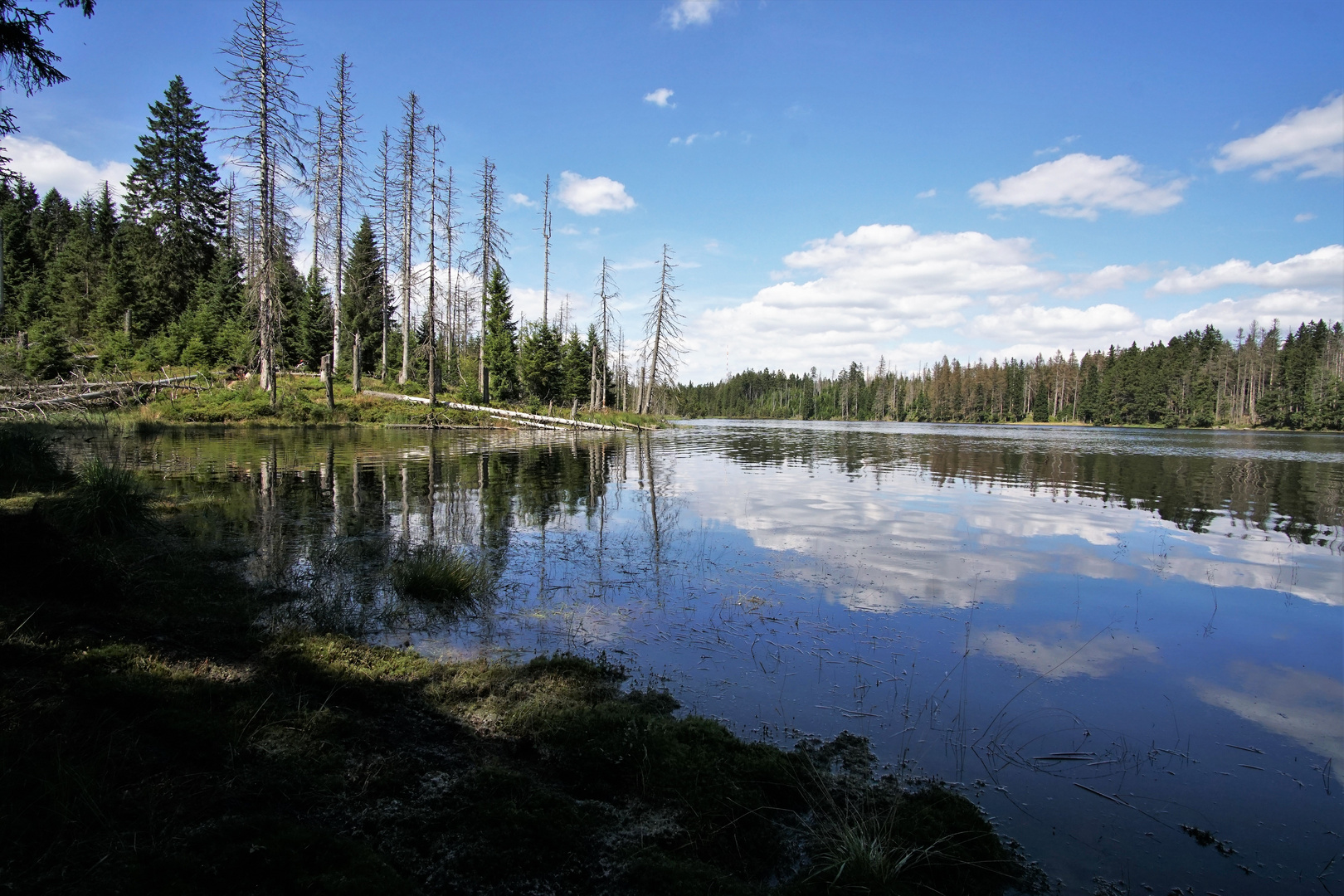 Oderteich im Harz Foto & Bild landschaft, bach, fluss & see, see