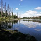 Oderteich im Harz