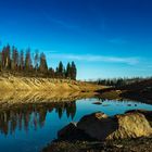 Oderteich im Harz