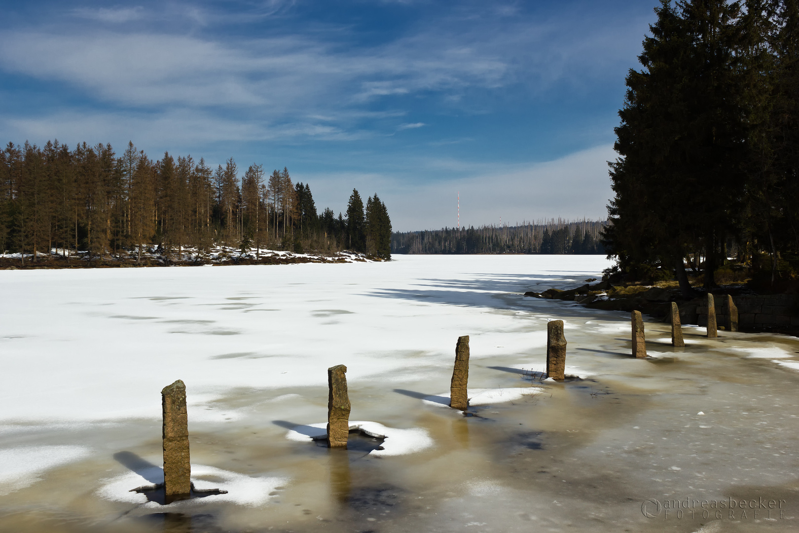 Oderteich im Harz