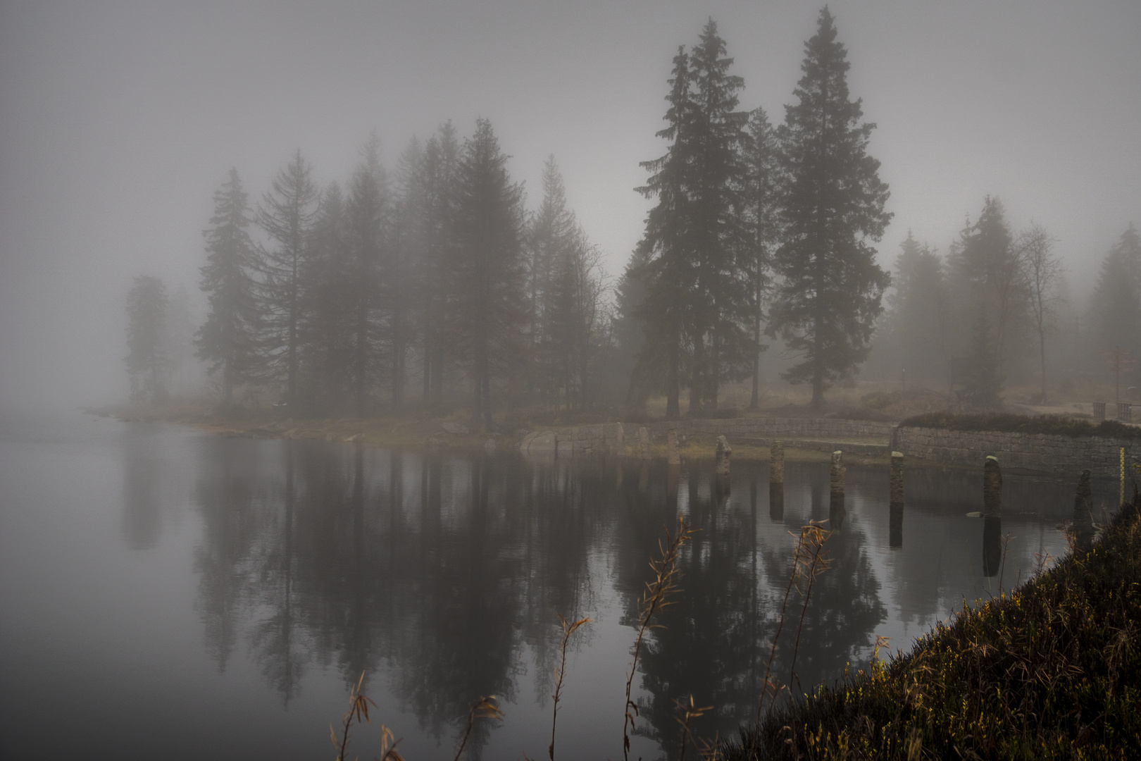 Oderteich im Nebel