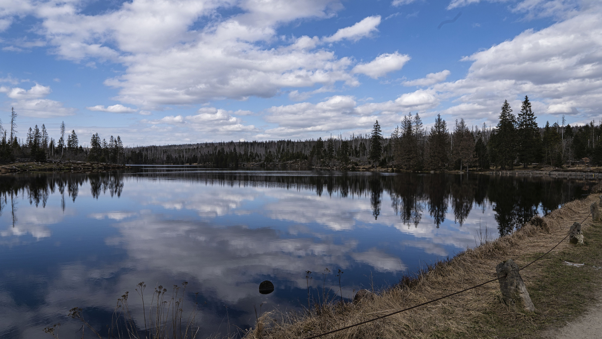 Oderteich im Oberharz das Highlight des Tages