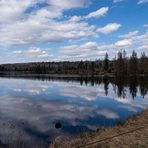 Oderteich im Oberharz das Highlight des Tages