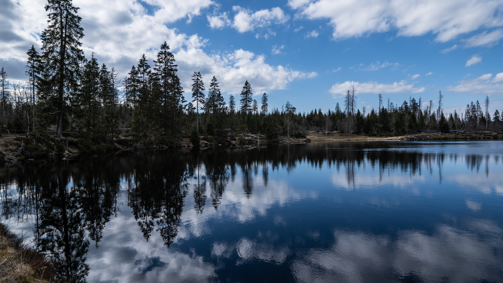 Oderteich im Oberharz