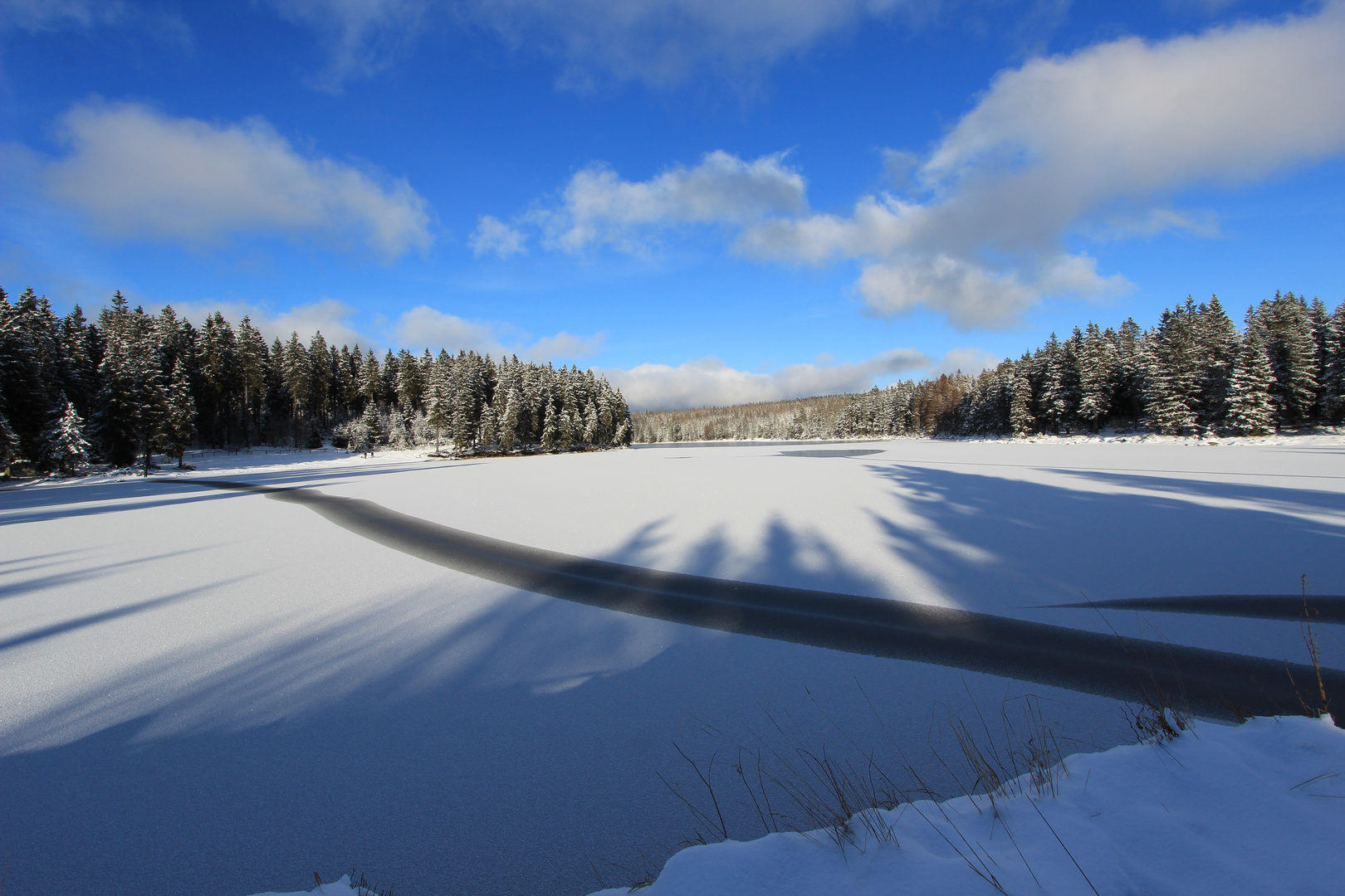 Oderteich mit Schnee