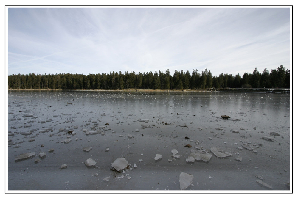 Oderteich nun noch einmal