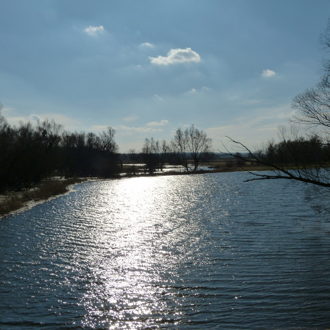 Oderwiesen