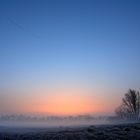 Oderwiesen im Morgennebel_2