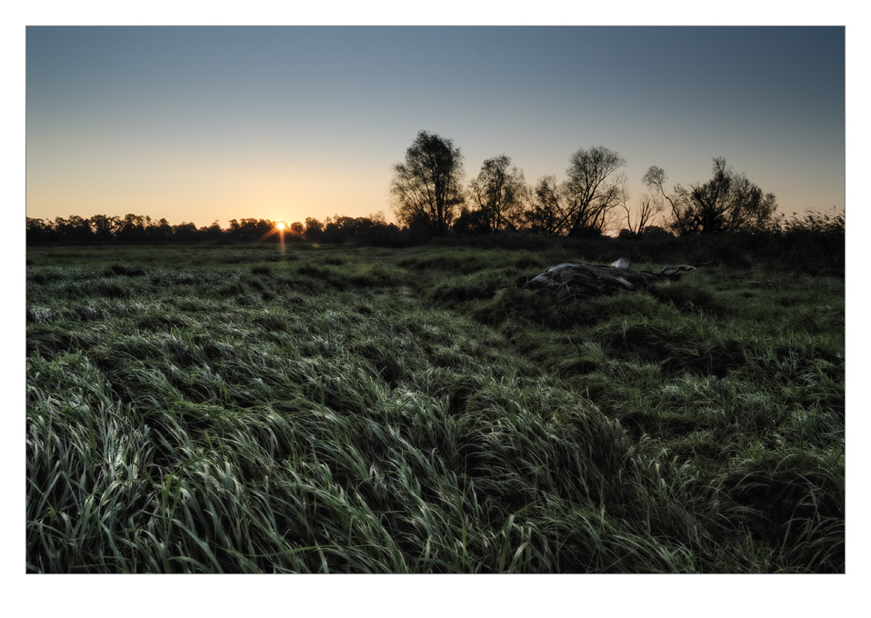 Oderwiesenmorgen