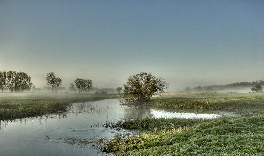 Oderwiesenmorgennebel